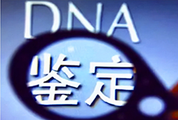 湘潭亲子鉴定落户麻烦么，湘潭用亲子鉴定上户口具体的流程